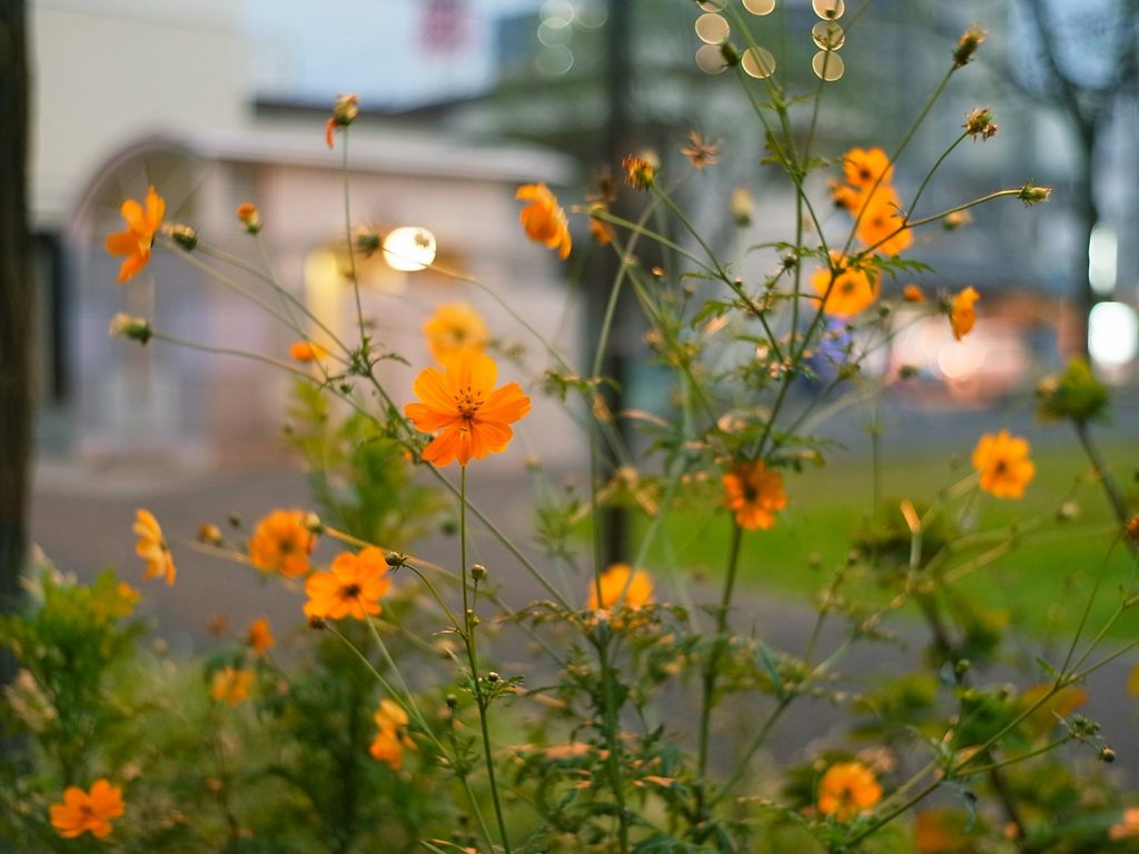 花