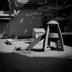 ひなたぼっこ猫