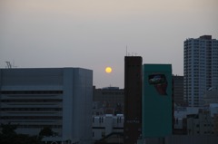 太陽に吠えろ！