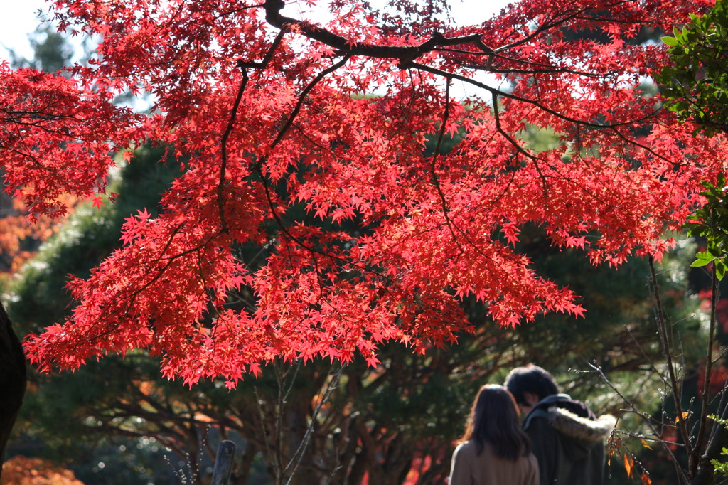 明治村