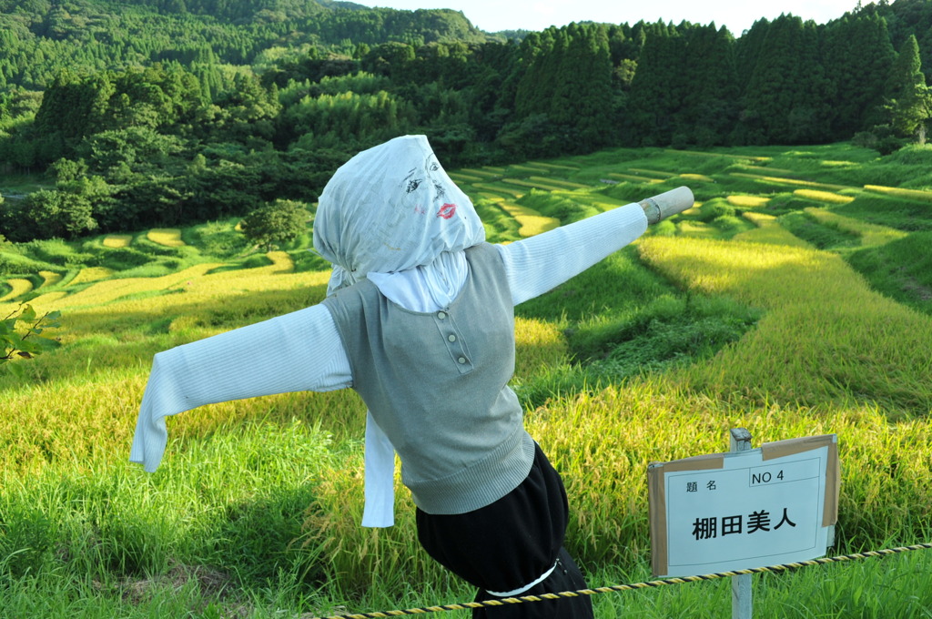 大山千枚田（平成２３年８月２９日）１８－５５ 032