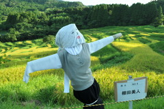 大山千枚田（平成２３年８月２９日）１８－５５ 032