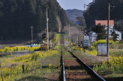 ムーミン谷の春