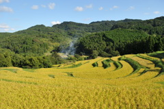 大山千枚田（平成２３年８月２９日）１８－５５ 004