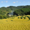 大山千枚田（平成２３年８月２９日）１８－５５ 004