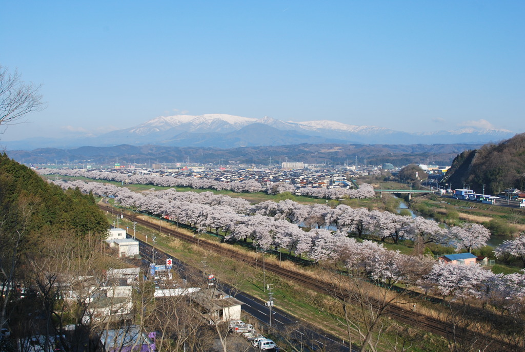 大河原一目千本桜と蔵王山