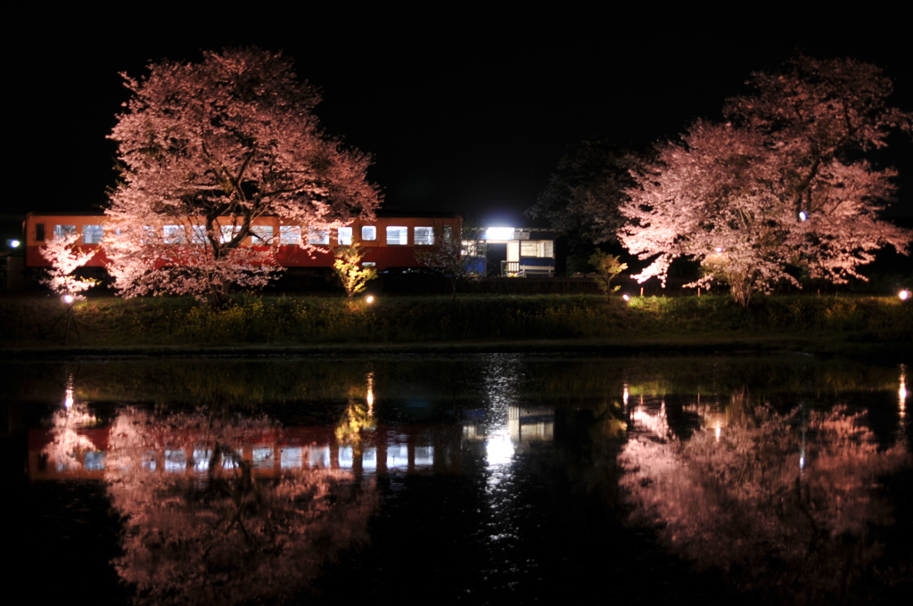 小湊鉄道（平成24年4月13日） 169