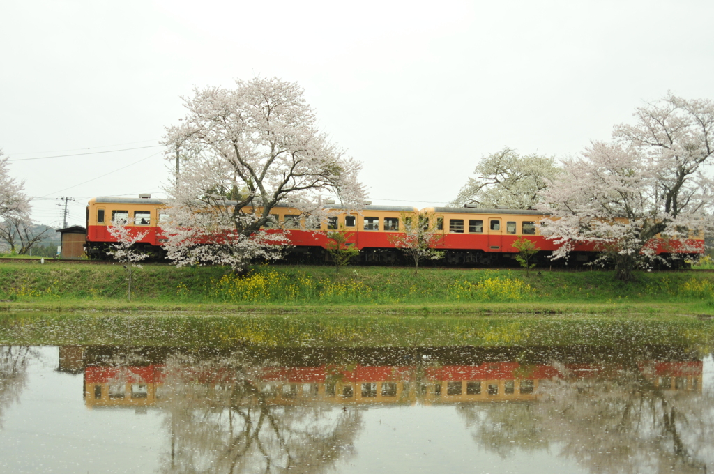 小湊鉄道（平成24年4月13日） 025