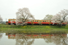 小湊鉄道（平成24年4月13日） 025