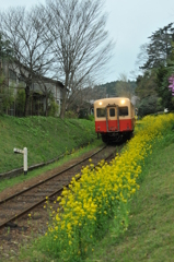 小湊鉄道（平成24年4月13日） 114