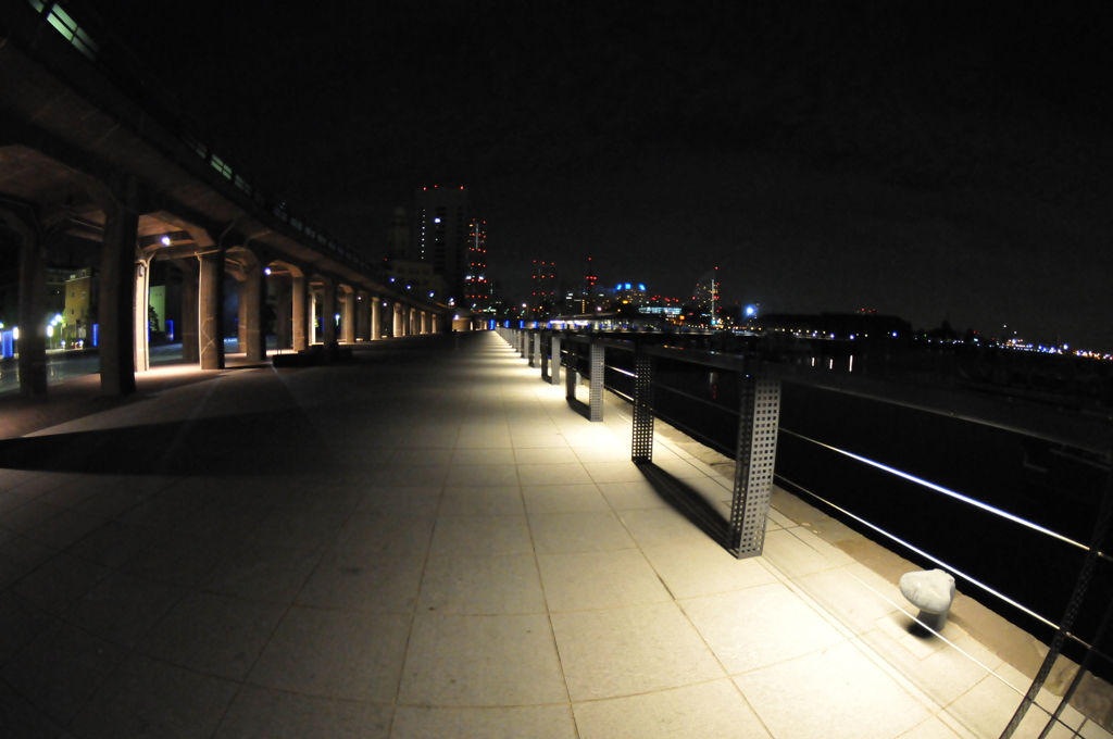 横浜夜景 024