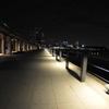 横浜夜景 024