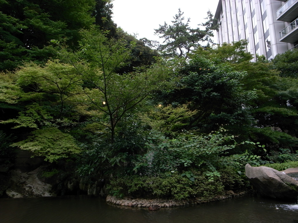 MIYAKO HOTEL