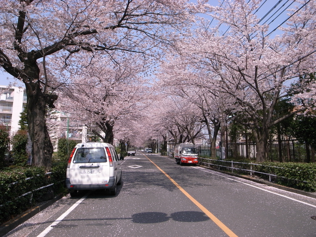 R0010791