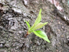 R0010721