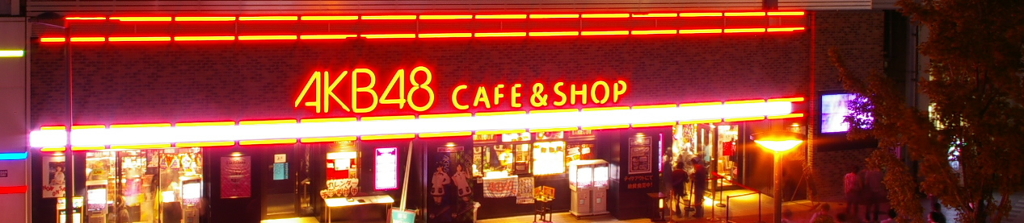 これも、日本の夜景だ！