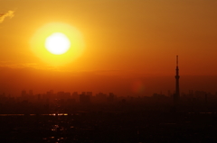 本日、主役はお休みでした～～～残念