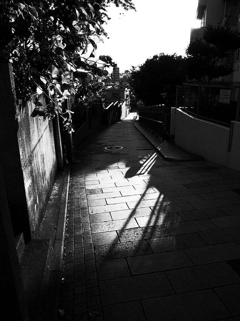 富士見坂　sunsettown.st