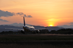 飛行機