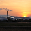 飛行機