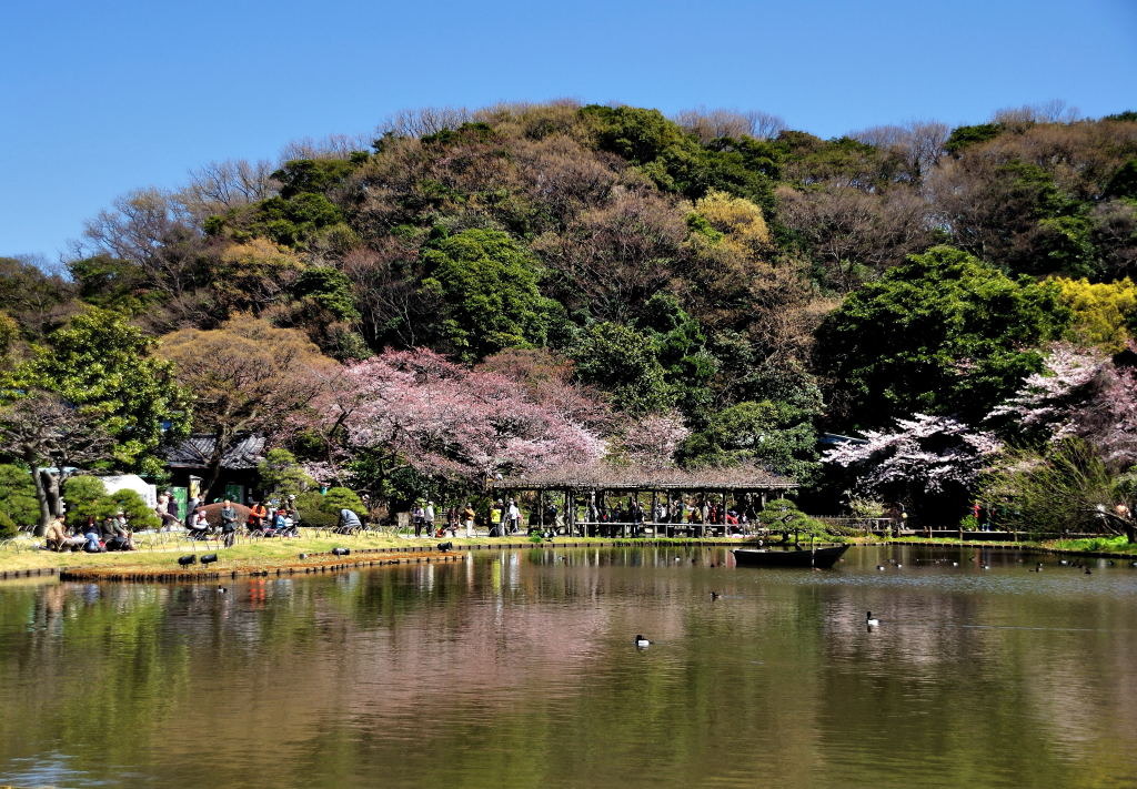 三渓園