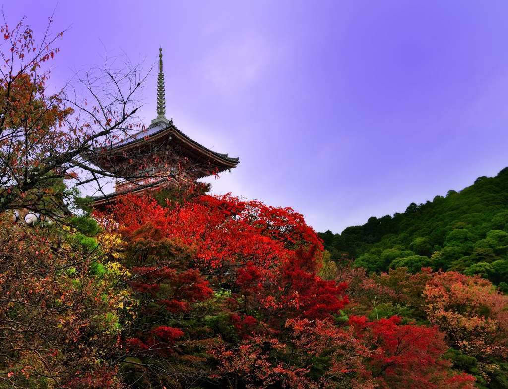 清水寺116