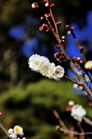 test_01