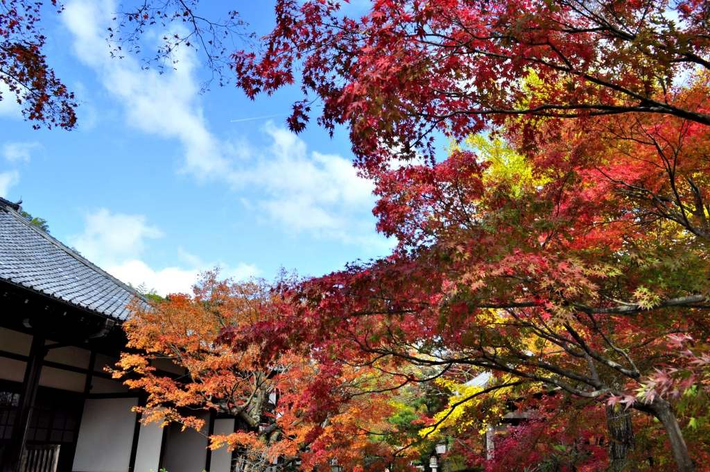 常寂光寺044_01