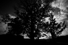 IMG_5759