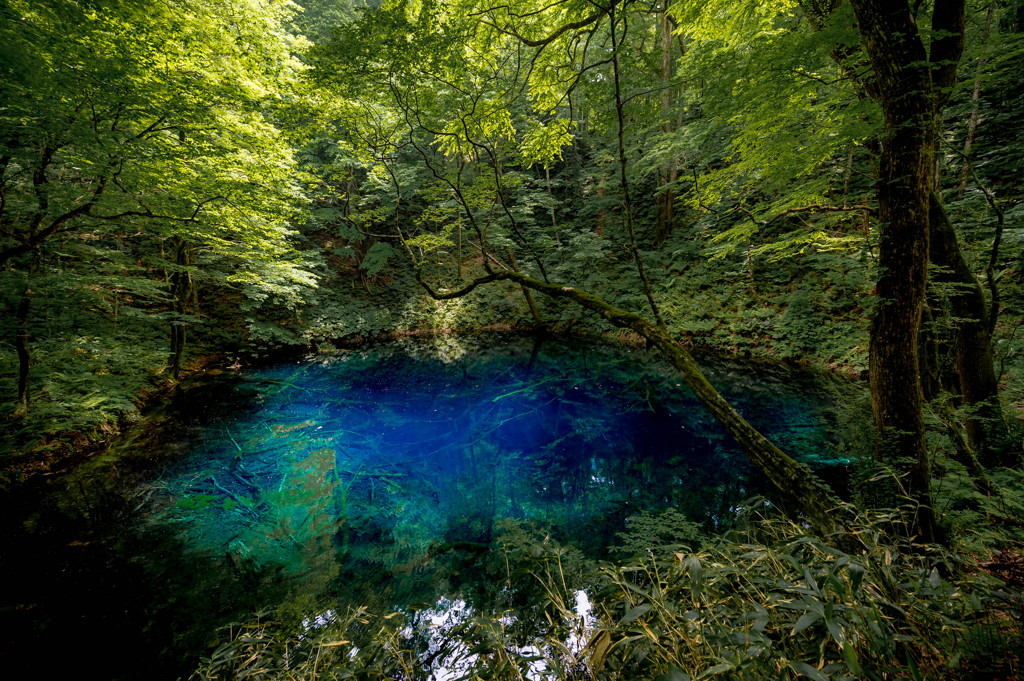 湧き出る群青