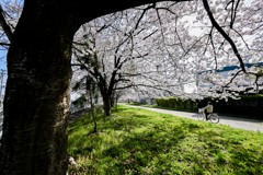 軽快に
