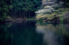 小さな池で
