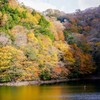 朝陽を待って
