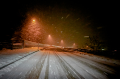 冬の夜道