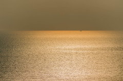 シャンパンゴールド