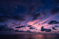紫雲の群れ