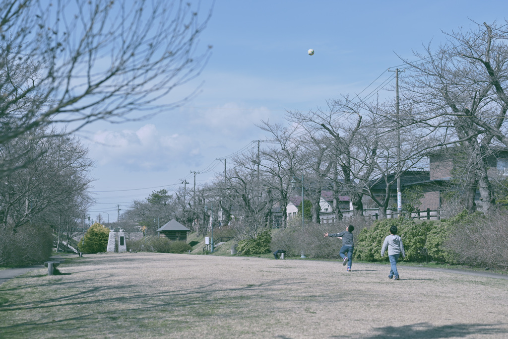 空高く