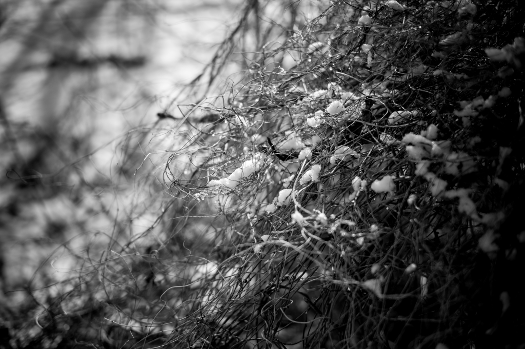 優しく解かして