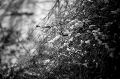 優しく解かして