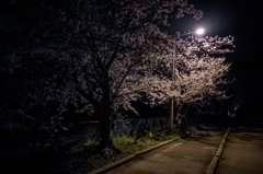 夜散歩のススメ　Ⅰ
