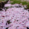 花のあと