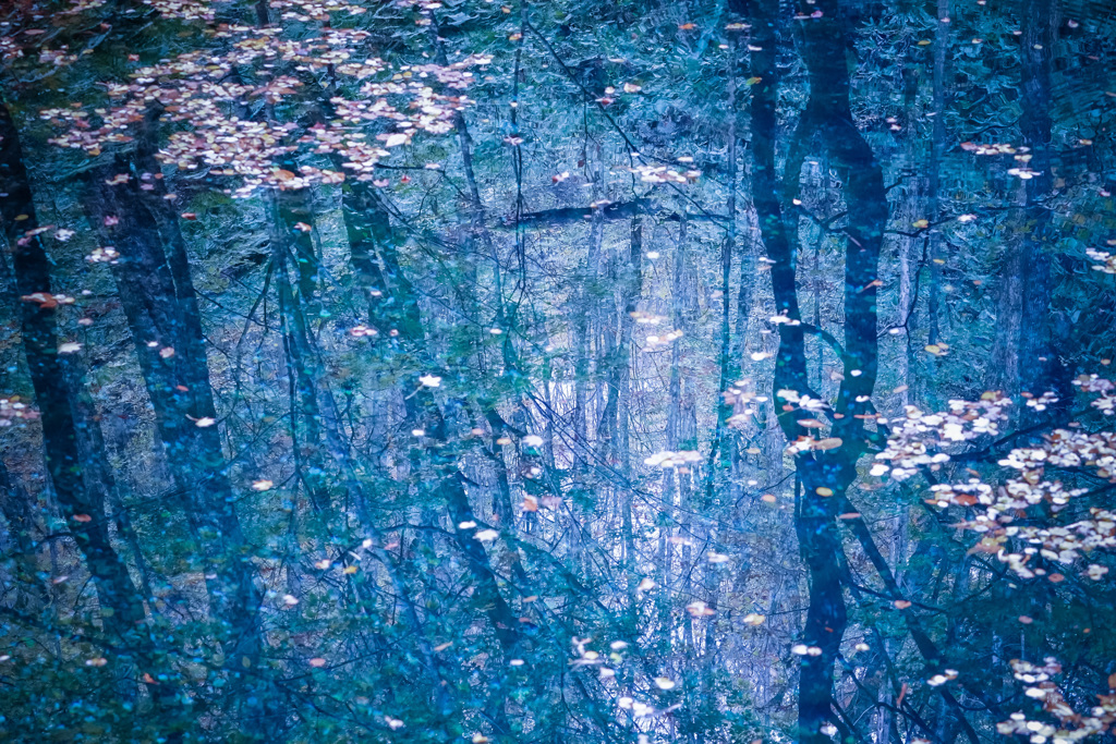 青い森