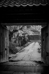 雨あがり