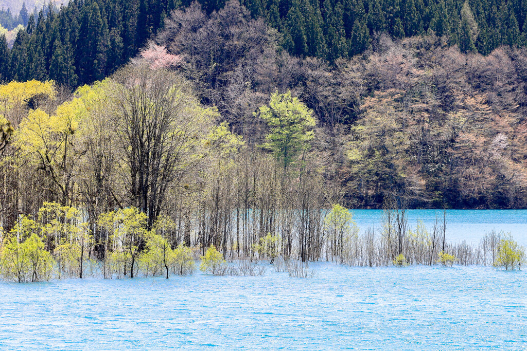 湖面に立つ