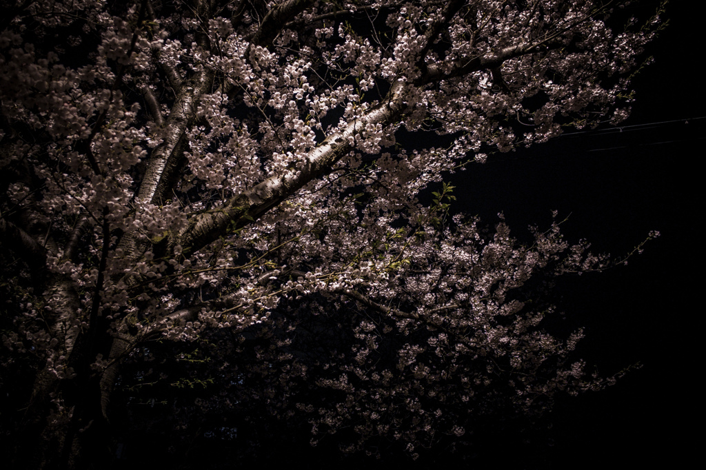 夜散歩のススメ　Ⅲ