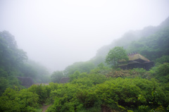 薄霧の谷