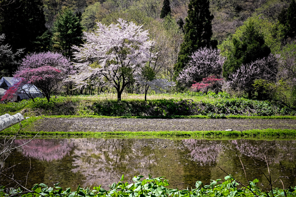 山深き里