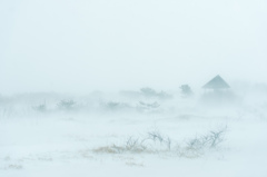 白い海風-2-