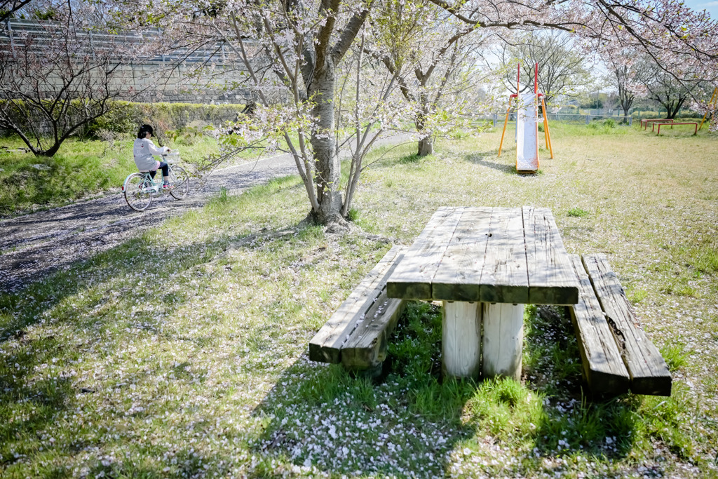 小さな公園の午後