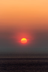 赤衣夕日
